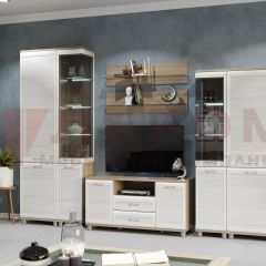 Гостиная Мелисса Композиция 5 (корпус Ясень Асахи, фасад Снежный ясень) в Верхней Пышме - verhnyaya-pyshma.mebel24.online | фото 2