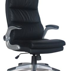 Кресло офисное BRABIX "Fregat EX-510" (рециклированная кожа, черное) 530863 в Верхней Пышме - verhnyaya-pyshma.mebel24.online | фото