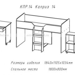 КАПРИЗ-14 Кровать 800 двухъярусная без рисунка в Верхней Пышме - verhnyaya-pyshma.mebel24.online | фото 2