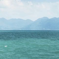 Кухонный фартук глянец FM 32 МДФ (2800) в Верхней Пышме - verhnyaya-pyshma.mebel24.online | фото
