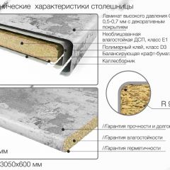Кухонный фартук со столешницей (А-04) в едином стиле (3050 мм) в Верхней Пышме - verhnyaya-pyshma.mebel24.online | фото 6