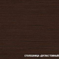 Кухонный гарнитур Полина стандарт 1600 в Верхней Пышме - verhnyaya-pyshma.mebel24.online | фото 12