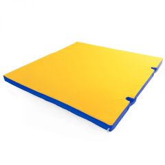 Мат гимнастический 1х1х0,05м с вырезом под стойки цв. синий-желтый в Верхней Пышме - verhnyaya-pyshma.mebel24.online | фото 1
