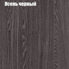 Прихожая ДИАНА-4 сек №10 (Ясень анкор/Дуб эльза) в Верхней Пышме - verhnyaya-pyshma.mebel24.online | фото 3