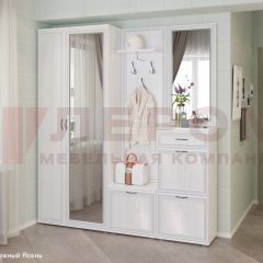 Прихожая Карина композиция 1 (Снежный ясень) в Верхней Пышме - verhnyaya-pyshma.mebel24.online | фото
