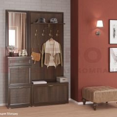 Прихожая Карина композиция 2 (Акация Молдау) в Верхней Пышме - verhnyaya-pyshma.mebel24.online | фото