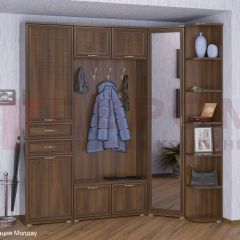 Прихожая Карина композиция 3 (Акация Молдау) в Верхней Пышме - verhnyaya-pyshma.mebel24.online | фото