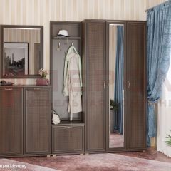 Прихожая Карина композиция 4 (Акация Молдау) в Верхней Пышме - verhnyaya-pyshma.mebel24.online | фото