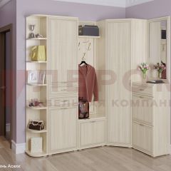 Прихожая Карина композиция 5 (Ясень Асахи) в Верхней Пышме - verhnyaya-pyshma.mebel24.online | фото