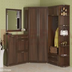 Прихожая Карина композиция 8 (Акация Молдау) в Верхней Пышме - verhnyaya-pyshma.mebel24.online | фото