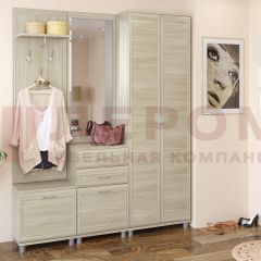 Прихожая Мелисса композиция 11 (Ясень Асахи) в Верхней Пышме - verhnyaya-pyshma.mebel24.online | фото