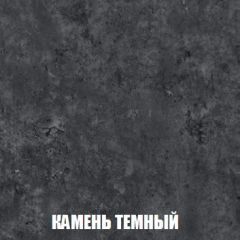 Шкаф 2-х створчатый МСП-1 (Дуб Золотой/Камень темный) в Верхней Пышме - verhnyaya-pyshma.mebel24.online | фото 5