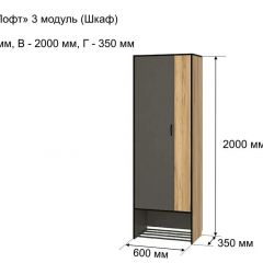 ОЛЬГА-ЛОФТ 3 Шкаф 2-х створчатый в Верхней Пышме - verhnyaya-pyshma.mebel24.online | фото 4