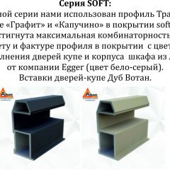 Шкаф-купе 1400 серии SOFT D6+D6+B2+PL3 (2 ящика+2штанги) профиль «Капучино» в Верхней Пышме - verhnyaya-pyshma.mebel24.online | фото 12