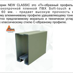 Шкаф-купе 1500 серии NEW CLASSIC K2+K2+B2+PL2(2 ящика+1 штанга+1 полка) профиль «Капучино» в Верхней Пышме - verhnyaya-pyshma.mebel24.online | фото 17