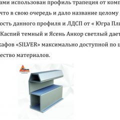 Шкаф-купе 1500 серии SILVER S1+S1+B2+PL2 (2 ящика+1 штанга+1 полка) профиль «Серебро» в Верхней Пышме - verhnyaya-pyshma.mebel24.online | фото 4