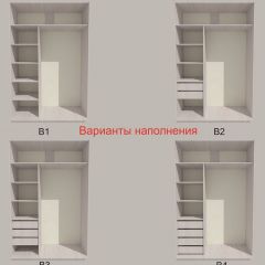 Шкаф-купе 1500 серии SILVER S3+S4+B2+PL4 (2 ящика+F обр.штанга) профиль «Серебро» в Верхней Пышме - verhnyaya-pyshma.mebel24.online | фото 5