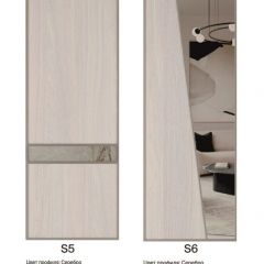Шкаф-купе 1500 серии SILVER S3+S4+B2+PL4 (2 ящика+F обр.штанга) профиль «Серебро» в Верхней Пышме - verhnyaya-pyshma.mebel24.online | фото 11