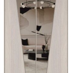 Шкаф-купе 1500 серии SILVER S3+S4+B2+PL4 (2 ящика+F обр.штанга) профиль «Серебро» в Верхней Пышме - verhnyaya-pyshma.mebel24.online | фото 12