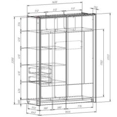 Шкаф-купе 1600 с плитой 22 мм ЛИБЕРТИ в Верхней Пышме - verhnyaya-pyshma.mebel24.online | фото 4