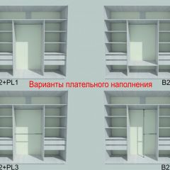 Шкаф-купе 1950 серии SILVER S3+S1+S4 B22+PL3 (по 2 ящика лев/прав+2 штанги) профиль «Серебро» в Верхней Пышме - verhnyaya-pyshma.mebel24.online | фото 6