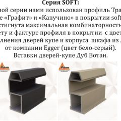 Шкаф-купе 2100 серии SOFT D4+D4+D4+B22+PL1 (по 2 ящика лев/прав+1штанга) профиль «Графит» в Верхней Пышме - verhnyaya-pyshma.mebel24.online | фото 12