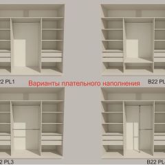 Шкаф-купе 2100 серии SOFT D5+D5+D5+B22+PL4 (по 2 ящика лев/прав+2штанги) профиль «Графит» в Верхней Пышме - verhnyaya-pyshma.mebel24.online | фото 4
