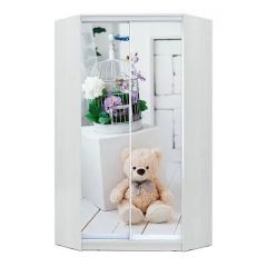 Шкаф-купе ХИТ-У-R-23-64-77 в Верхней Пышме - verhnyaya-pyshma.mebel24.online | фото