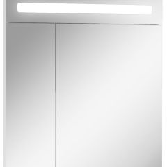 Шкаф-зеркало Аврора 65 с подсветкой LED Домино (DV8006HZ) в Верхней Пышме - verhnyaya-pyshma.mebel24.online | фото