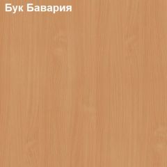 Стол для конференций Логика Л-1.6 в Верхней Пышме - verhnyaya-pyshma.mebel24.online | фото 2