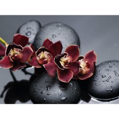 Стол обеденный Бостон Ст101.1 орхидеи в Верхней Пышме - verhnyaya-pyshma.mebel24.online | фото 3