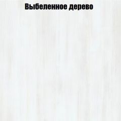 Вешалка V3 в Верхней Пышме - verhnyaya-pyshma.mebel24.online | фото 4