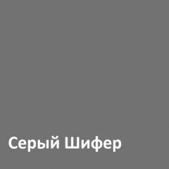 Юнона Шкаф торцевой 13.221 в Верхней Пышме - verhnyaya-pyshma.mebel24.online | фото 2