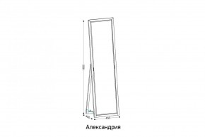 АЛЕКСАНДРИЯ-9.1 Зеркало напольное в Верхней Пышме - verhnyaya-pyshma.mebel24.online | фото 2