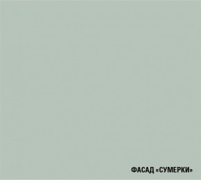 АСАЯ Кухонный гарнитур Экстра 2 (3000 мм) ПМ в Верхней Пышме - verhnyaya-pyshma.mebel24.online | фото 5