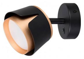 Бра Arte Lamp Amaks A8028AP-1BK в Верхней Пышме - verhnyaya-pyshma.mebel24.online | фото