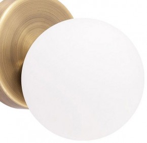Бра Arte Lamp Bolla-piccolo A3989AP-1AB в Верхней Пышме - verhnyaya-pyshma.mebel24.online | фото