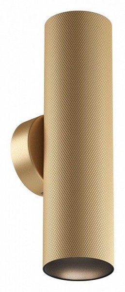 Бра Maytoni Artisan C080WL-02-GU10-MG в Верхней Пышме - verhnyaya-pyshma.mebel24.online | фото