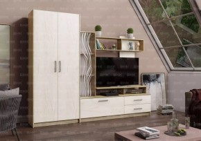 ДАРЬЯ Гостиная (Крафт серый/Крафт белый) в Верхней Пышме - verhnyaya-pyshma.mebel24.online | фото