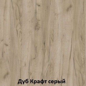 ДАРЬЯ Гостиная (Крафт серый/Крафт белый) модульная в Верхней Пышме - verhnyaya-pyshma.mebel24.online | фото 2