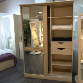 ДИАНА Д13 Шкаф-купе в Верхней Пышме - verhnyaya-pyshma.mebel24.online | фото 4