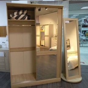 ДИАНА Д13 Шкаф-купе в Верхней Пышме - verhnyaya-pyshma.mebel24.online | фото 5