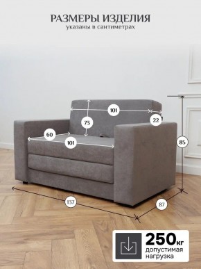Диван 570 (кресло-кровать) в Верхней Пышме - verhnyaya-pyshma.mebel24.online | фото 12