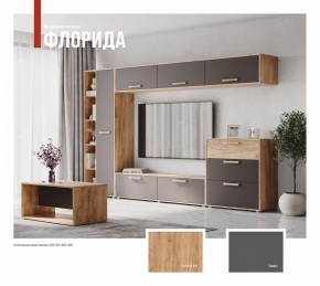 ФЛОРИДА Гостиная (модульная) дуб золотой/графит в Верхней Пышме - verhnyaya-pyshma.mebel24.online | фото 1
