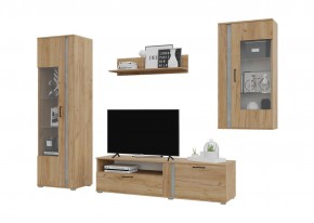 Гостиная Омега (Крафт золотой-Бетон) в Верхней Пышме - verhnyaya-pyshma.mebel24.online | фото 2