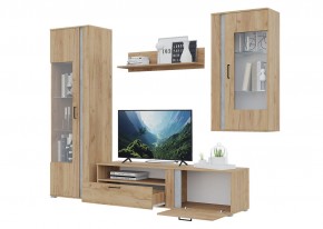 Гостиная Омега (Крафт золотой-Бетон) в Верхней Пышме - verhnyaya-pyshma.mebel24.online | фото 4