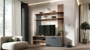 КАРОЛИНА Гостиная в Верхней Пышме - verhnyaya-pyshma.mebel24.online | фото