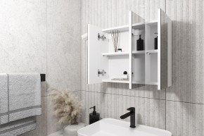 Кларити Шкаф зеркальный 16.312.08 в Верхней Пышме - verhnyaya-pyshma.mebel24.online | фото 2