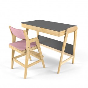 Комплект растущий стол и стул с чехлом 38 попугаев «Вуди» (Серый, Береза, Розовый) в Верхней Пышме - verhnyaya-pyshma.mebel24.online | фото