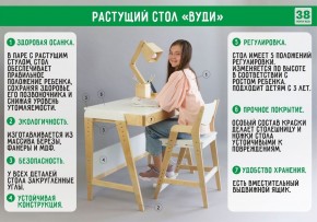 Комплект растущий стол и стул с чехлом 38 попугаев «Вуди» (Серый, Береза, Салют) в Верхней Пышме - verhnyaya-pyshma.mebel24.online | фото